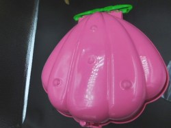 sea wees pink pod b